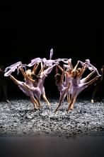 MALAINDAIN BALLET BIARRITZ